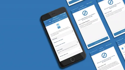BMB Lite screens: verify your account with full or basic access, and prompts explaining that PINsentry, live chat and direct call are only in the full app